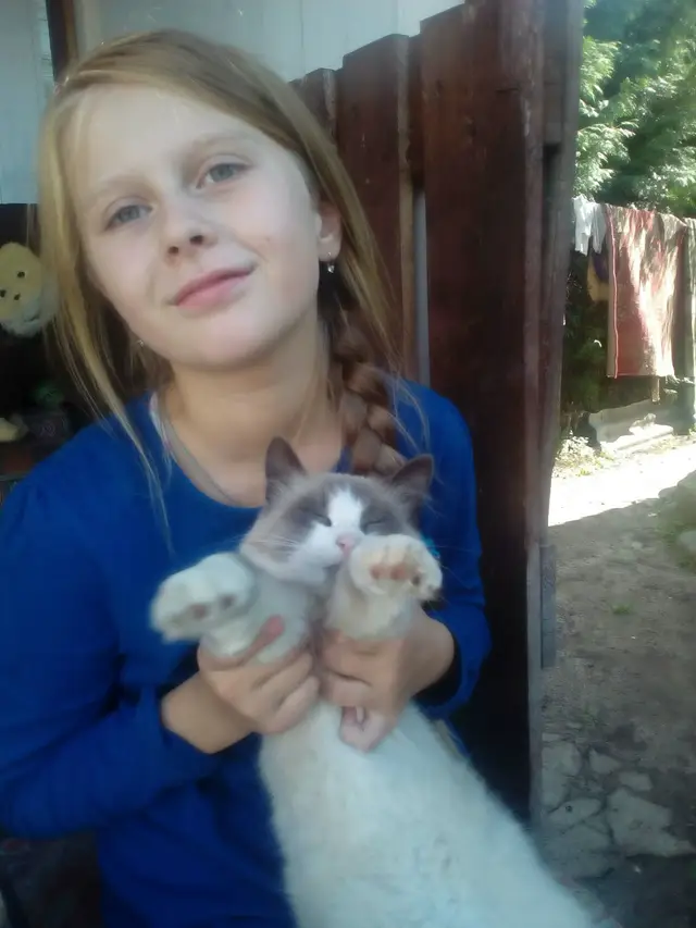 Пропала кошка в Кобрине — Пожалуйста помогите найти кота ,ребенок очень переживает .Пропал по улице Никольская г.Кобрин по…