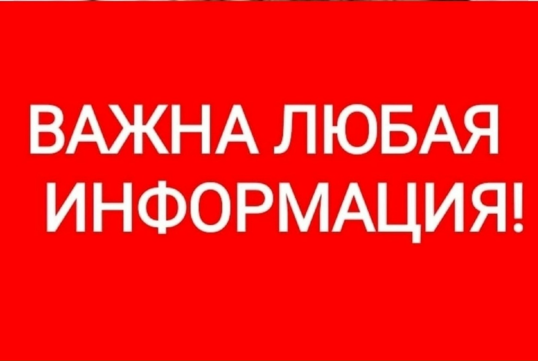 Найдена кошка в Полоцке — Новополоцк. Промзона. Максимальный репост! Есть информация, что на территории завода Нафтан, не…