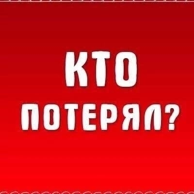 Найдена собака в Полоцке — Кто потерял собаку в сером комбинезоне ?