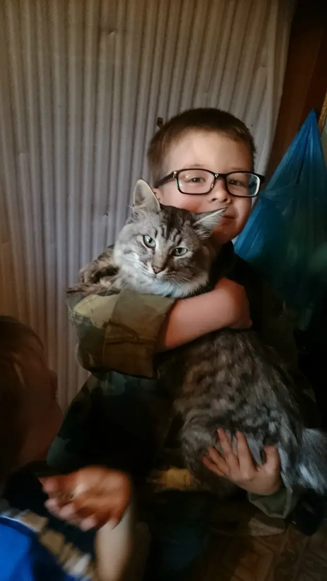Найденная кошка в Берёзе: Маленькие радости нашего двора. Найдена кошка в Берёзе — Маленькие радости нашего двора.