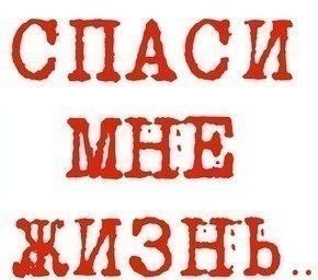 Пропала собака в Бобруйске — SOS!!!!СРОЧНО!!!!БОБРУЙСК!!!БЕЛАРУСЬ!!!!🆘🆘🆘