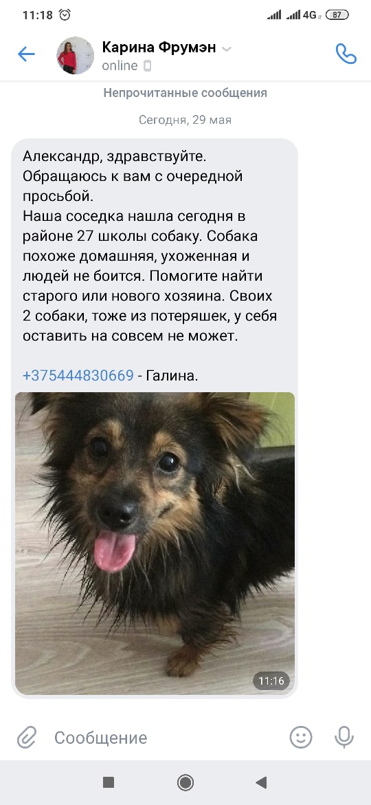 Найдена собака в Бобруйске — Бобруйск!!!Здравствуйте. Обращаюсь к вам с очередной просьбой.