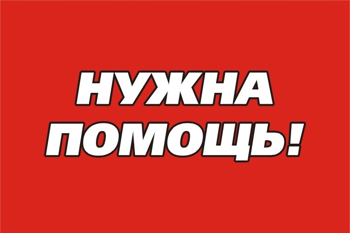 Найдена собака в Барановичах — В Столбцах, возле ЖД вокзала бегает очень худая собачка с поломанной передней лапой, которая…