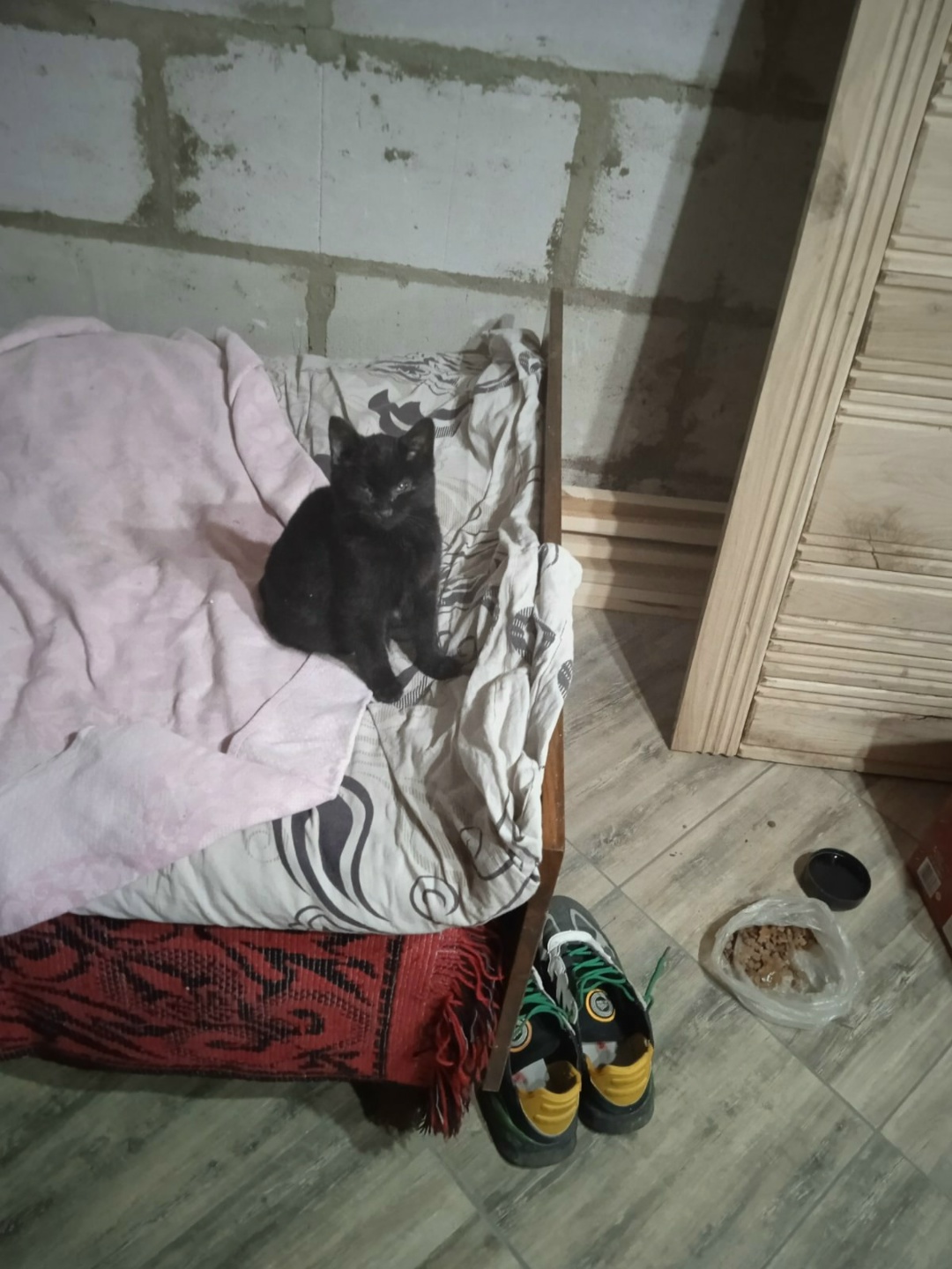 Найдена кошка в Барановичах — Маленький котик ищет хозяина сейчас его приютили но на долго оставить не могут. Может кому нибудь…