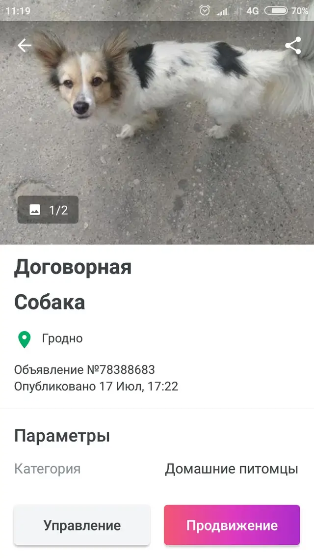 Пропала собака в Пружанах — Здравствуйте, помогите найти хозяина этой собачки. Очень добрая, Умничка . Гуляет без поводка…