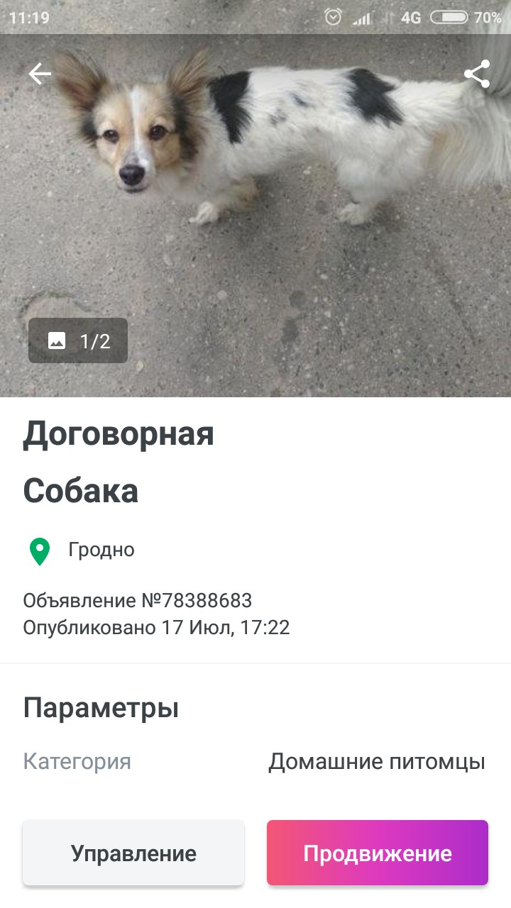 Пропала собака в Пружанах — Здравствуйте, помогите найти хозяина этой собачки. Очень добрая, Умничка . Гуляет без поводка…