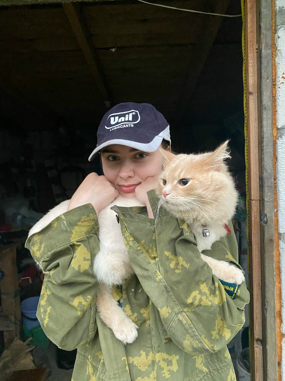 Найдена кошка в Пружанах — фото объявления
