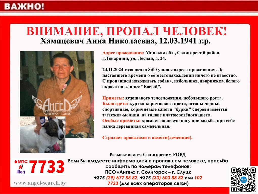 Пропала собака в Солигорске — Внимание, Солигорск!