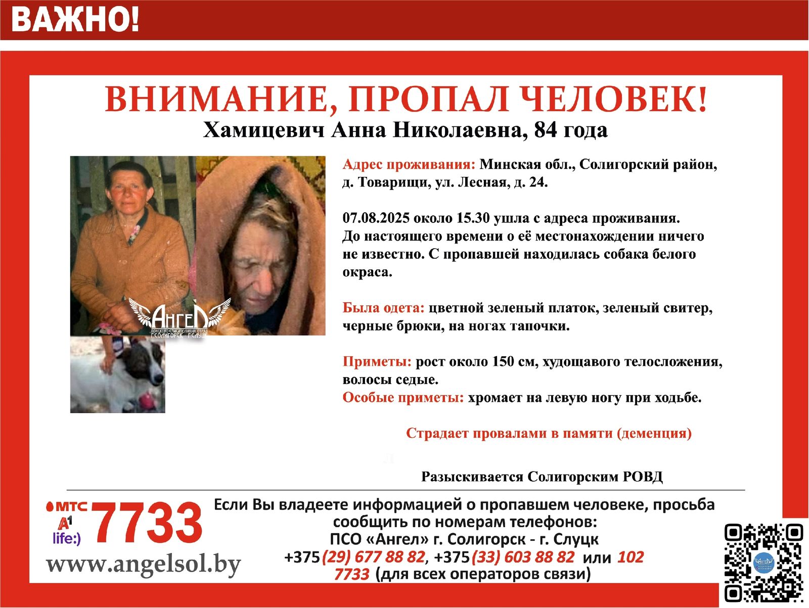 Пропала собака в Солигорске — Внимание, Солигорский р-н!