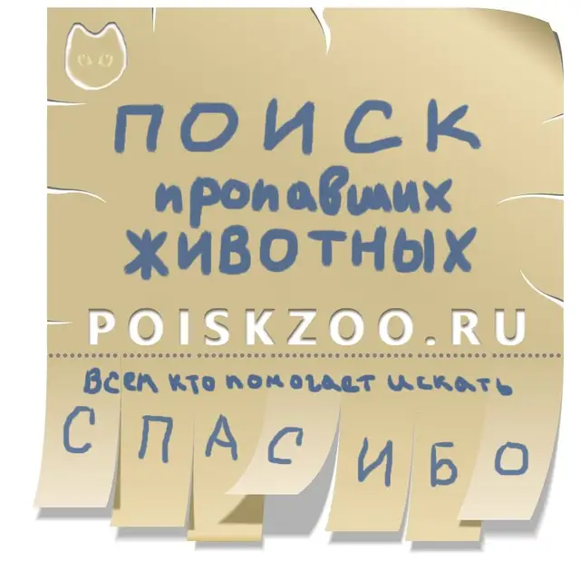 Пропала собака в Бресте — фото объявления